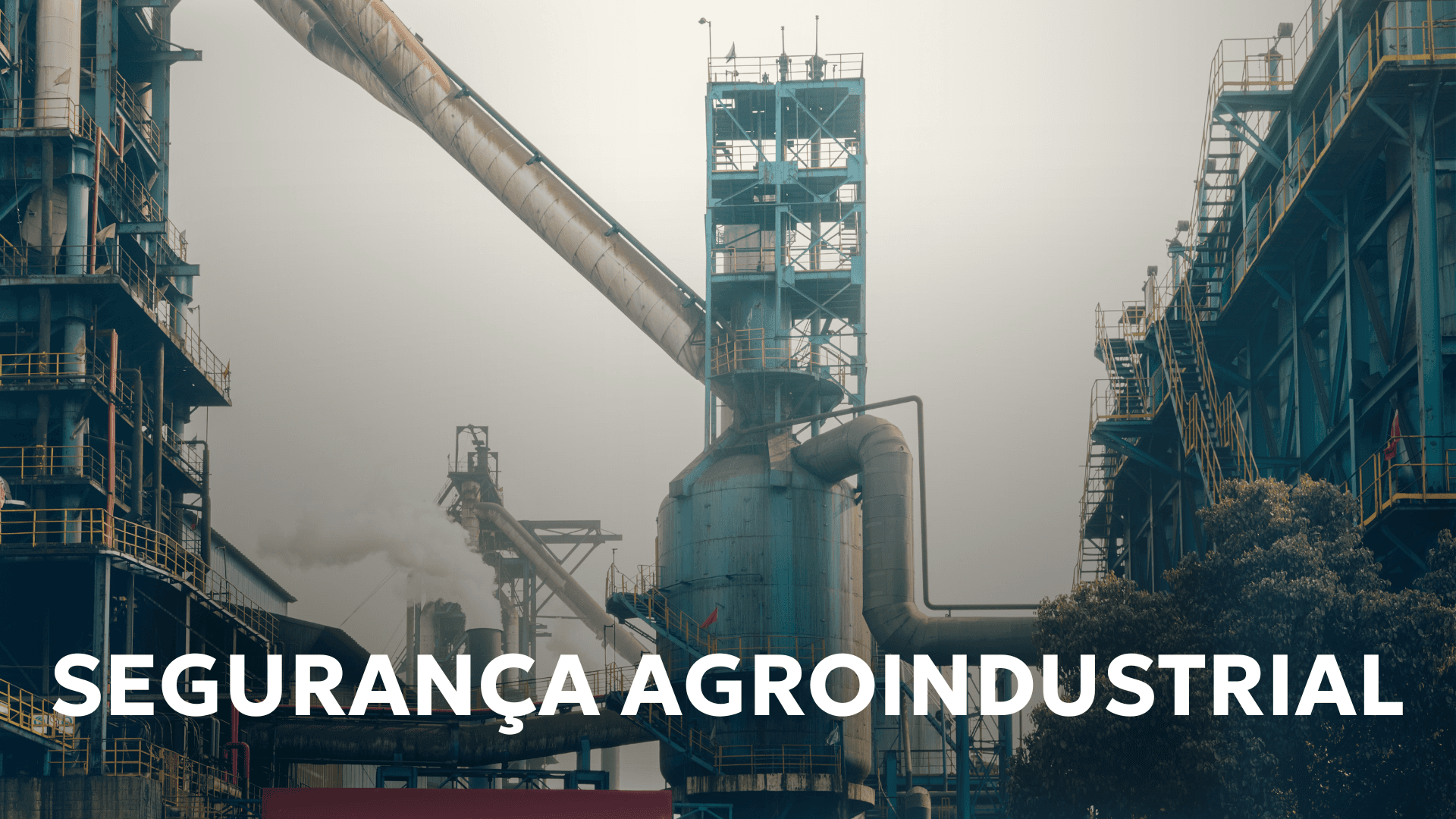 Segurança na Agroindústria